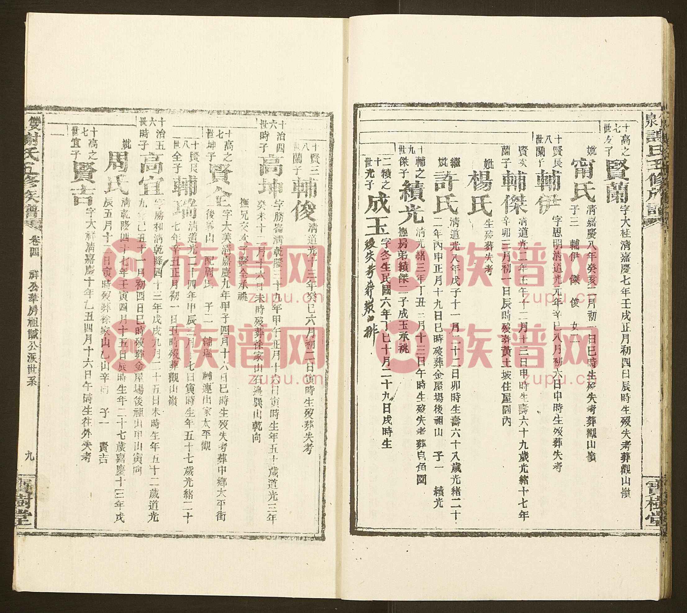 下载族谱网APP