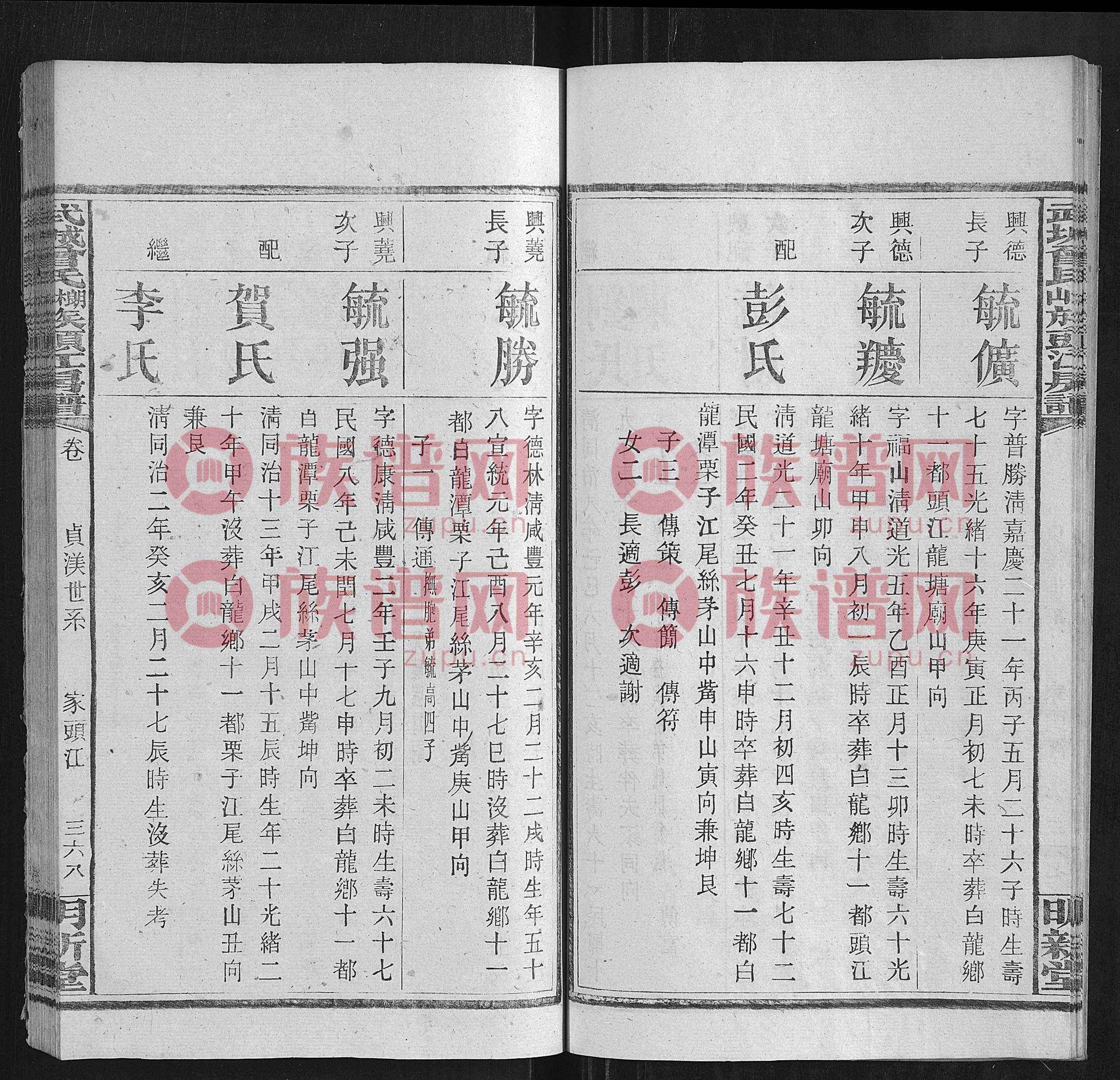 下载族谱网APP，找到“圈子”加入姓氏圈